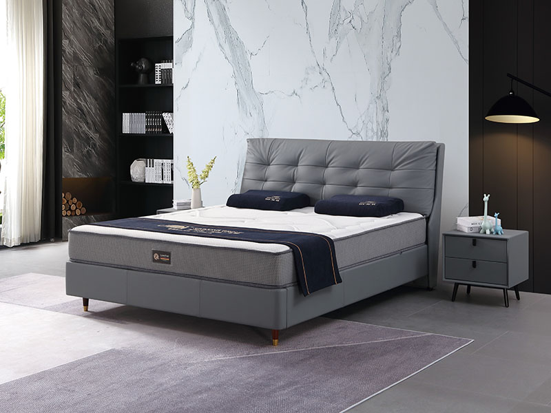 休闲时尚系列 TR2...