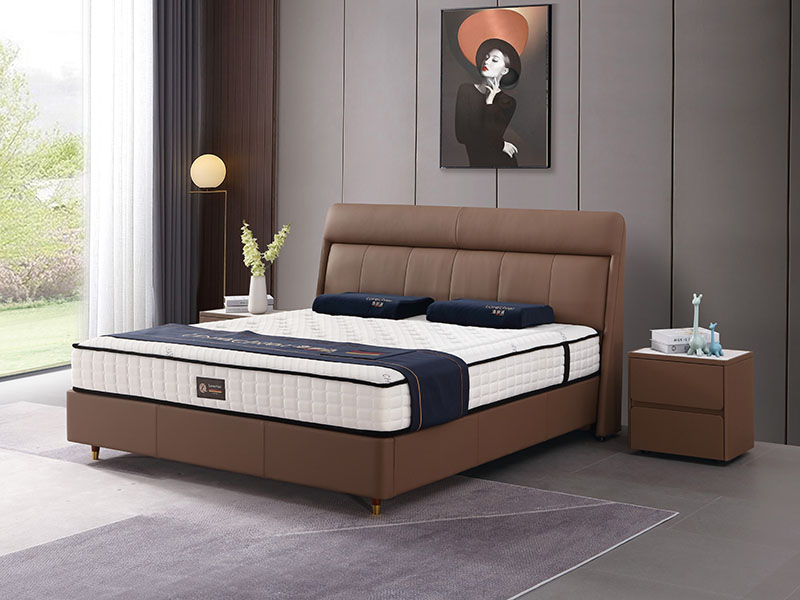 休闲时尚系列 TR2...