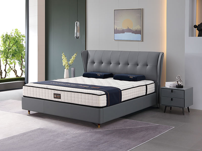 休闲时尚系列 TR2...