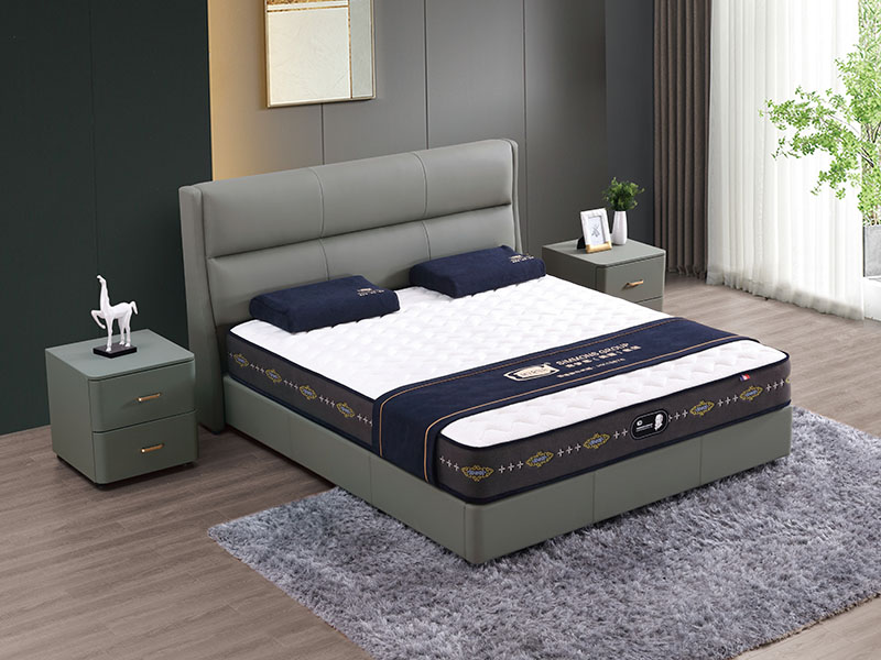 休闲时尚系列 TR0...