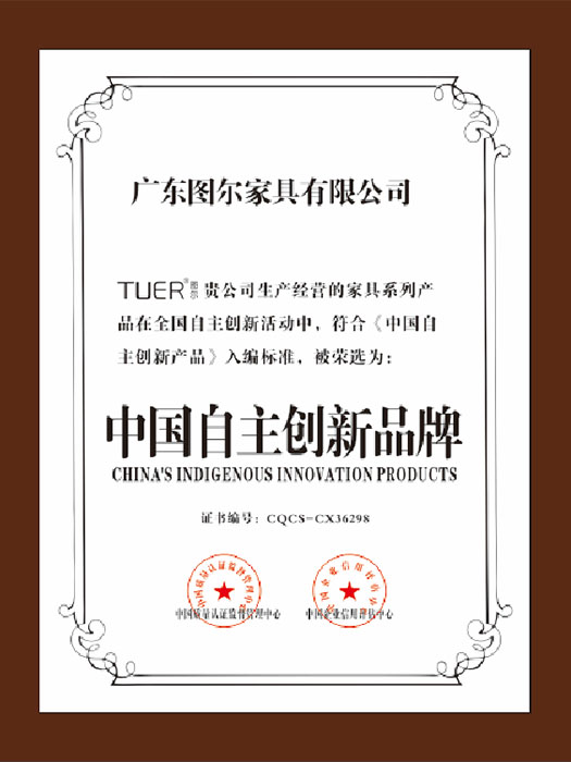 中国自主创新品牌