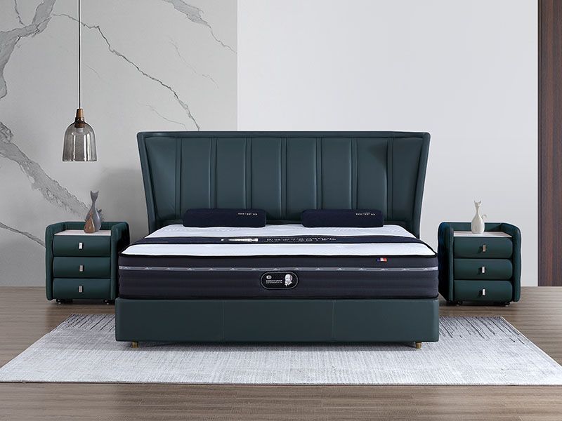 美式轻奢极简系列TR...