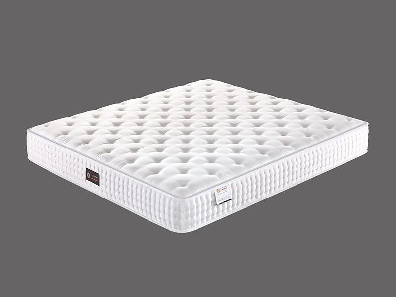 德国洛菲淇床垫 伯林