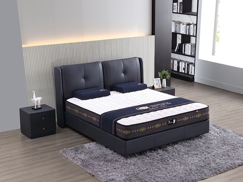 休闲时尚系列TR08...