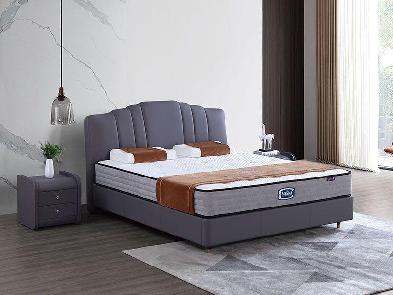 休闲时尚系列TR06...